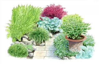 愛世園小伙伴 花境小科普，為迎接花卉盛宴做準備